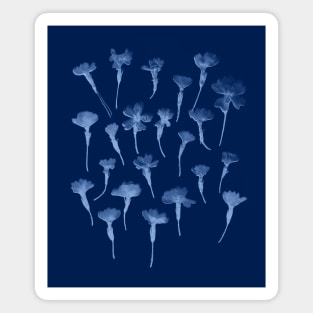 Cyanotype Primrose Magnet